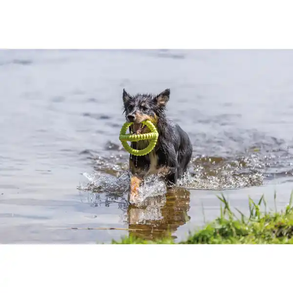 Bild 2 von Hundespielzeug, Ø17 cm, schwimmt/floatable, TPR, lime