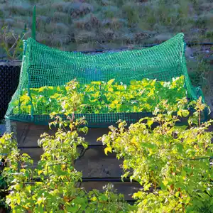 Powertec Garden Vogelschutznetz 3er-Set