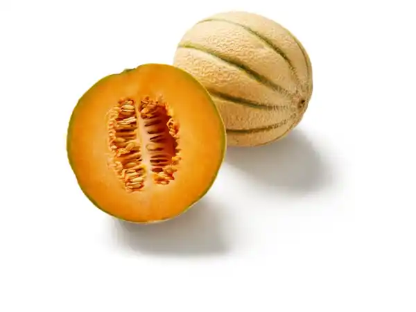 Bild 1 von Cantaloupemelone