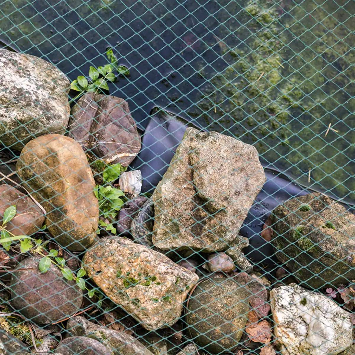 Bild 1 von Powertec Garden Teich- und Laubschutznetz