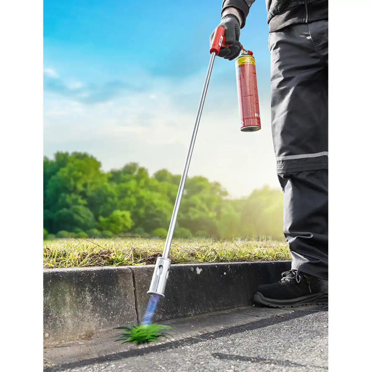 Bild 1 von Walter Unkrautbrenner