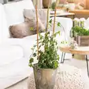 Bild 1 von Powertec Garden Blumenstütze