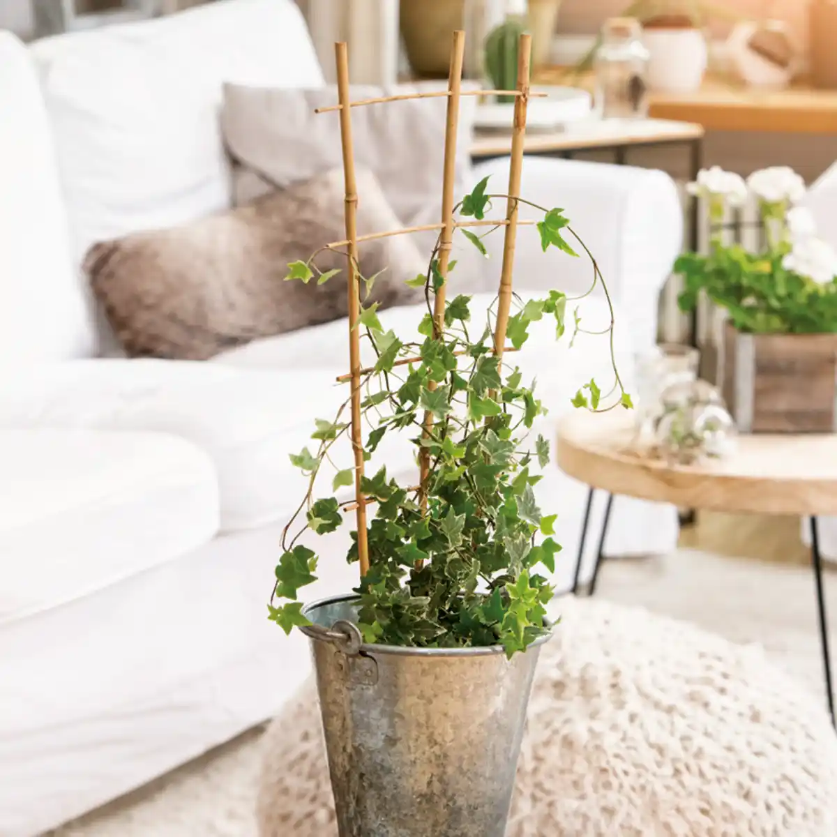 Bild 1 von Powertec Garden Blumenstütze