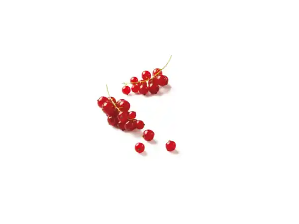 Bild 1 von Deutsche Johannisbeeren, lose,  500 g