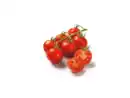 Bild 1 von Bio Cocktailstrauchtomaten,  350 g