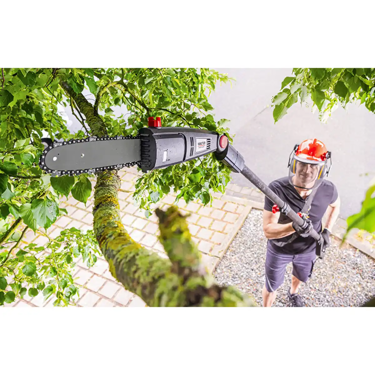 Bild 3 von Walter 2in1 Elektro-Teleskop-Kettensäge /-Heckenschere