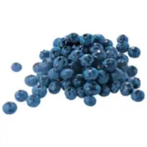 Bio Heidelbeeren