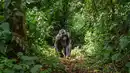 Bild 1 von Rundreisen Uganda: Gänsehautmomente im Herzen Afrikas