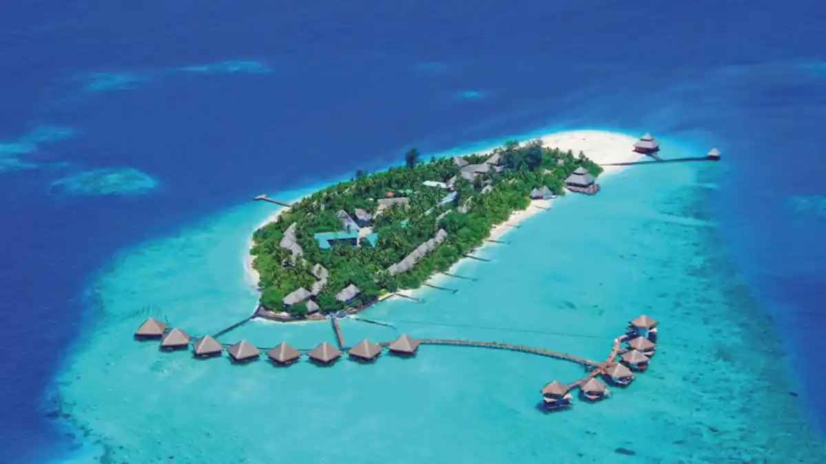 Bild 1 von Rundreisen Sri Lanka & Malediven: Wo Elefanten wandern und Tempel Geschichten flüstern