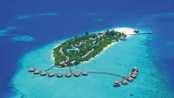 Bild 1 von Rundreisen Sri Lanka & Malediven: Wo Elefanten wandern und Tempel Geschichten flüstern