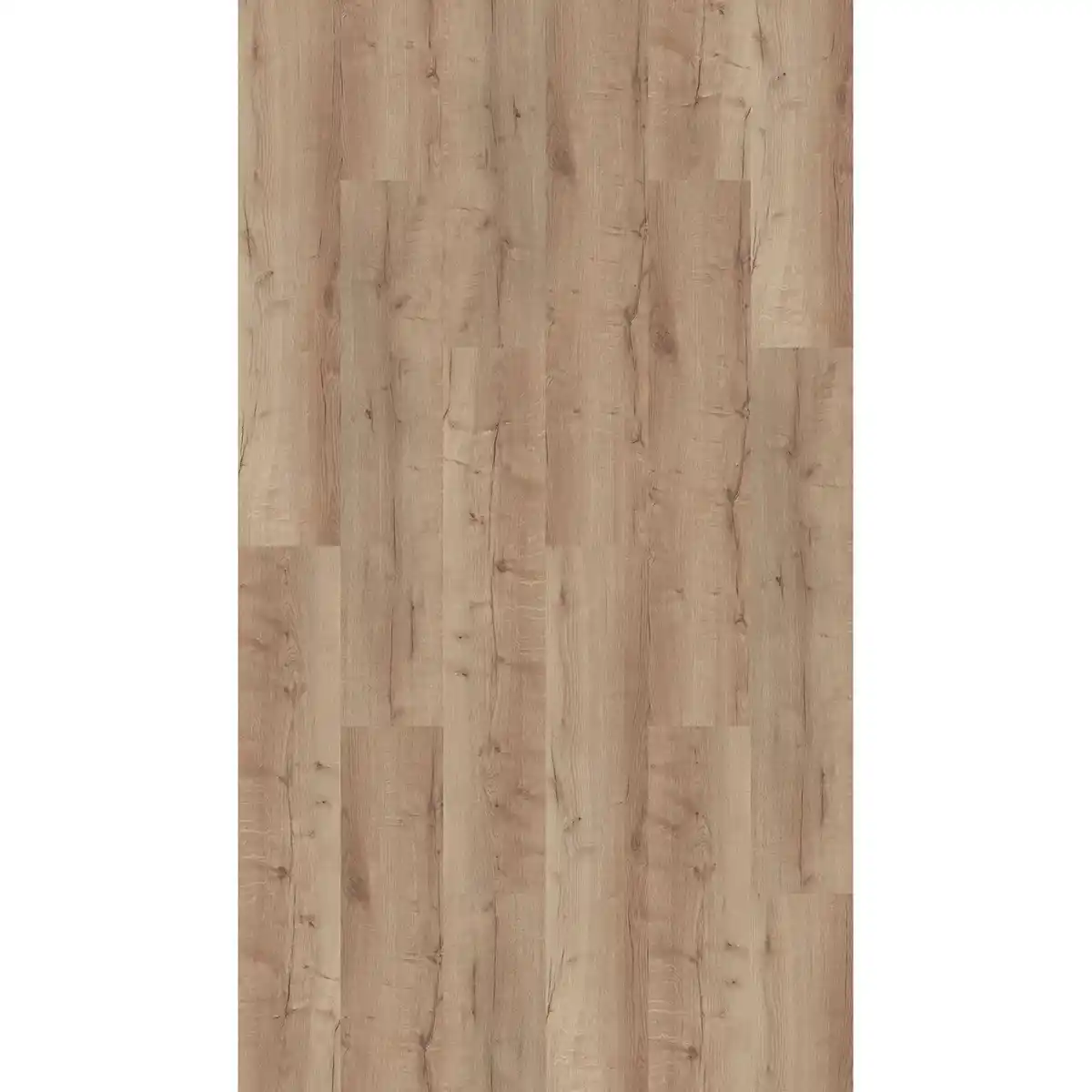 Bild 1 von Vinylboden Eiche Lyon 4 mm Klicksystem