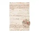 Bild 1 von Teppich »Himalaya«, beige, ca. 160 x 230 cm