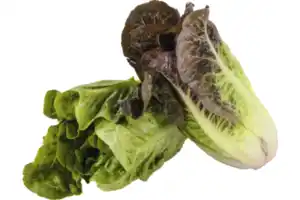 Salatherzen2er-Pack