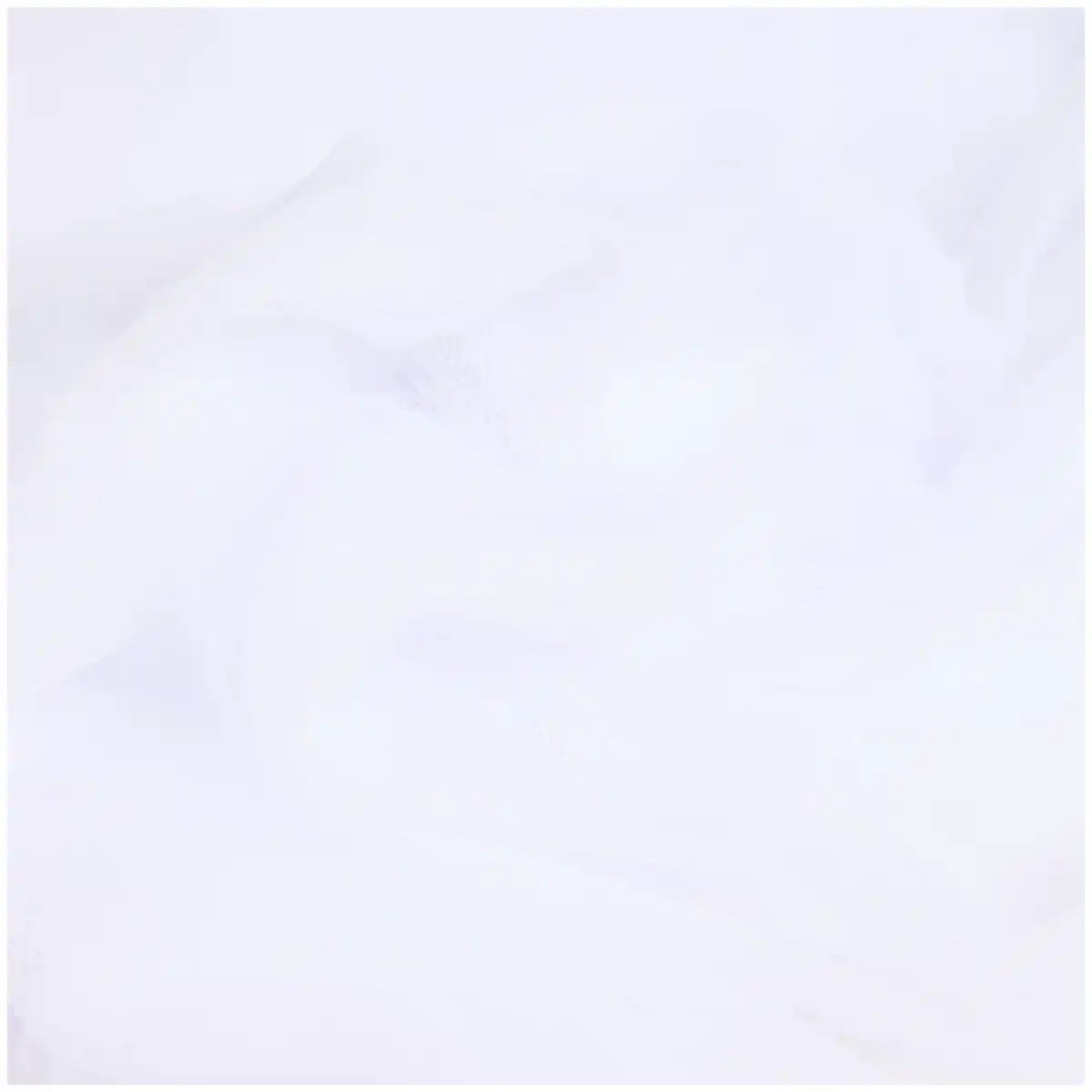 Bild 3 von Moskitonetz