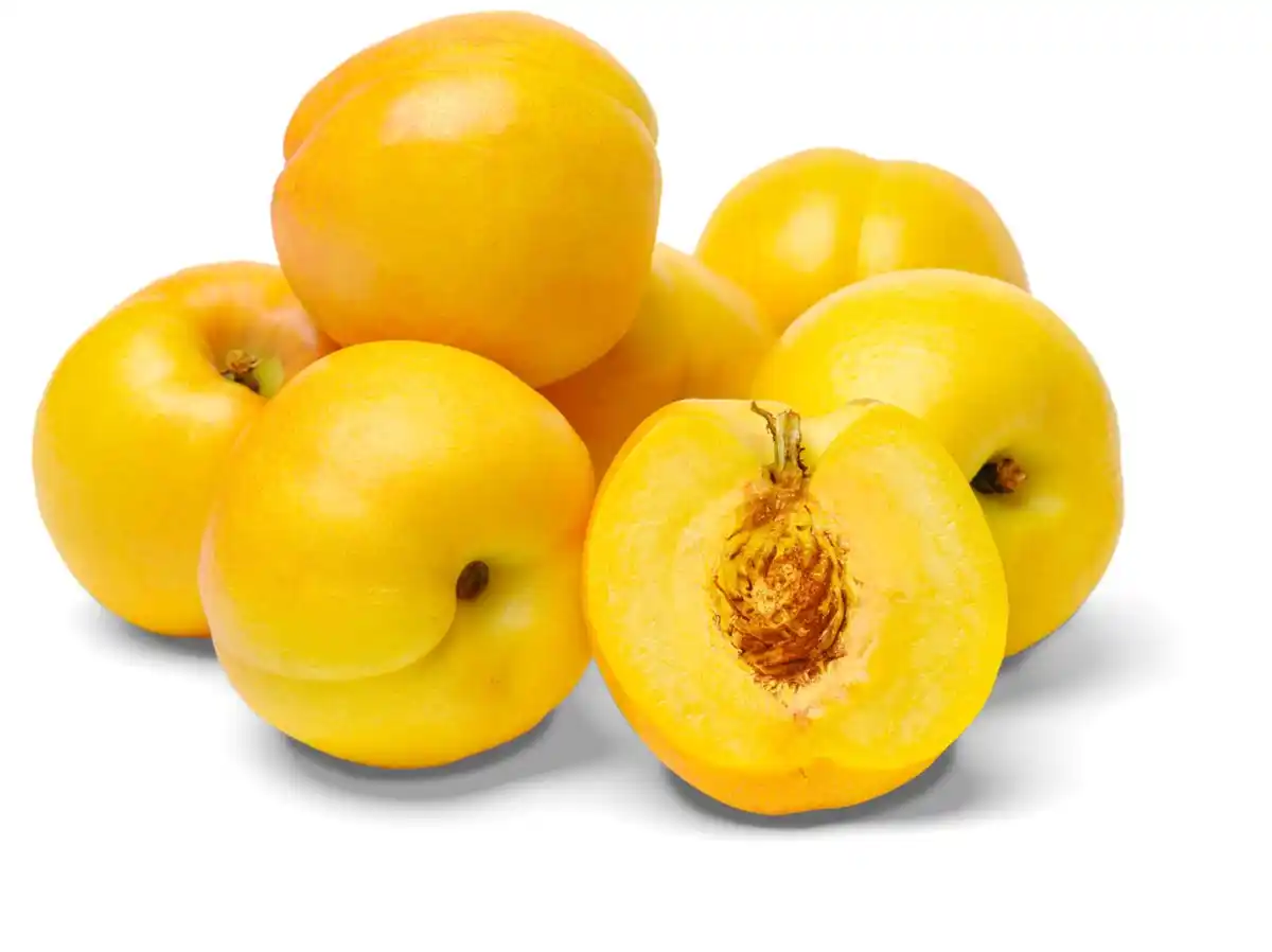 Bild 1 von Span. Nektarinen Maria Dorata, 500-g-Packg.