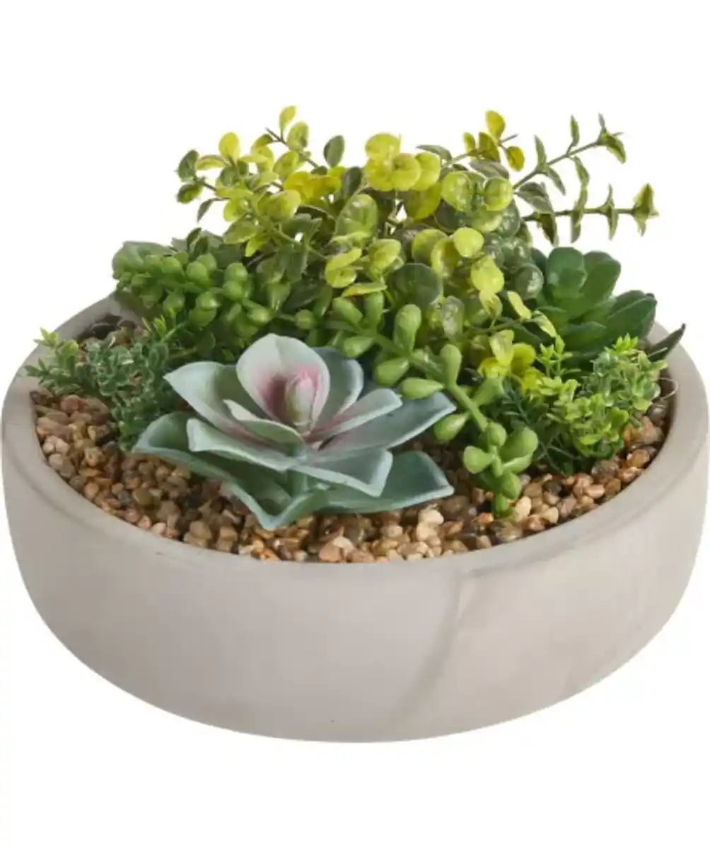 Bild 1 von Kunstpflanze Sukkulente, grün