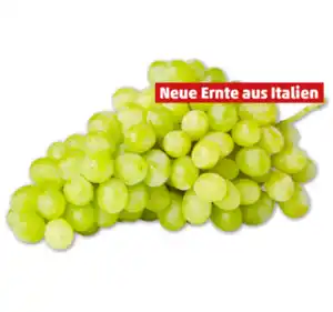 Helle, kernlose Tafeltrauben