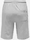 Bild 2 von Only&Sons ONSNEIL LIFE SWEAT SH Sweatshorts Grau