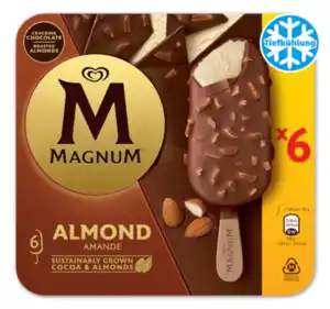 MAGNUM Stieleis