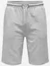 Bild 1 von Only&Sons ONSNEIL LIFE SWEAT SH Sweatshorts Grau