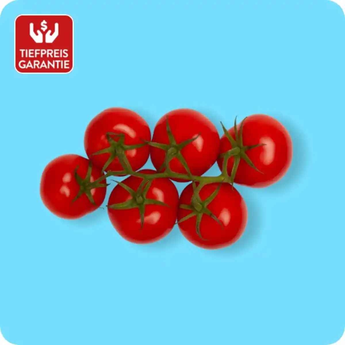 Bild 1 von   Rispentomaten, Ursprung: Niederlande / Belgien / Spanien