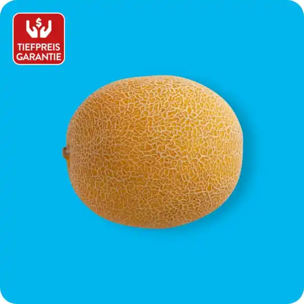 Bild 1 von   Galiamelone, Ursprung: Spanien