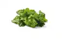 Bild 1 von Deutscher Spinat,  500 g