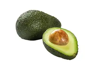 Avocado