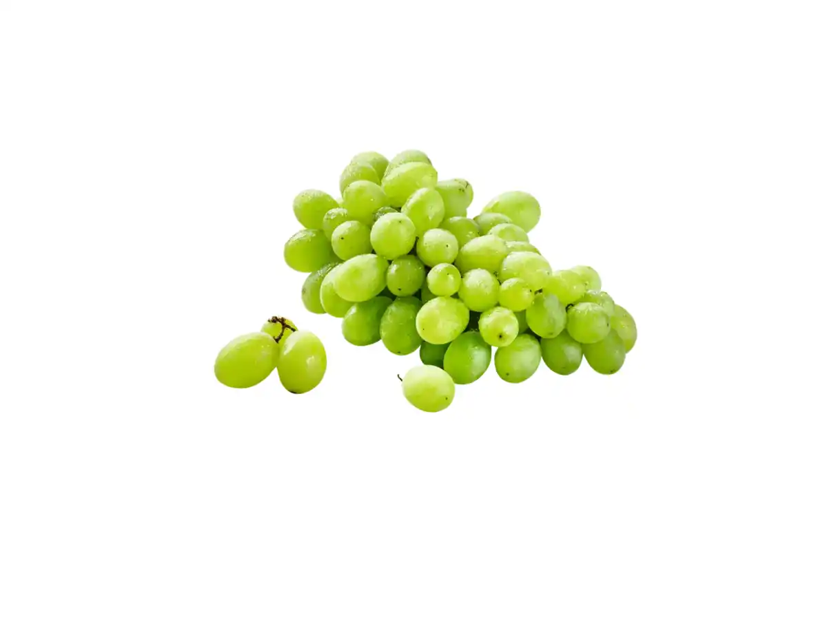 Bild 1 von Helle, kernlose Trauben, lose