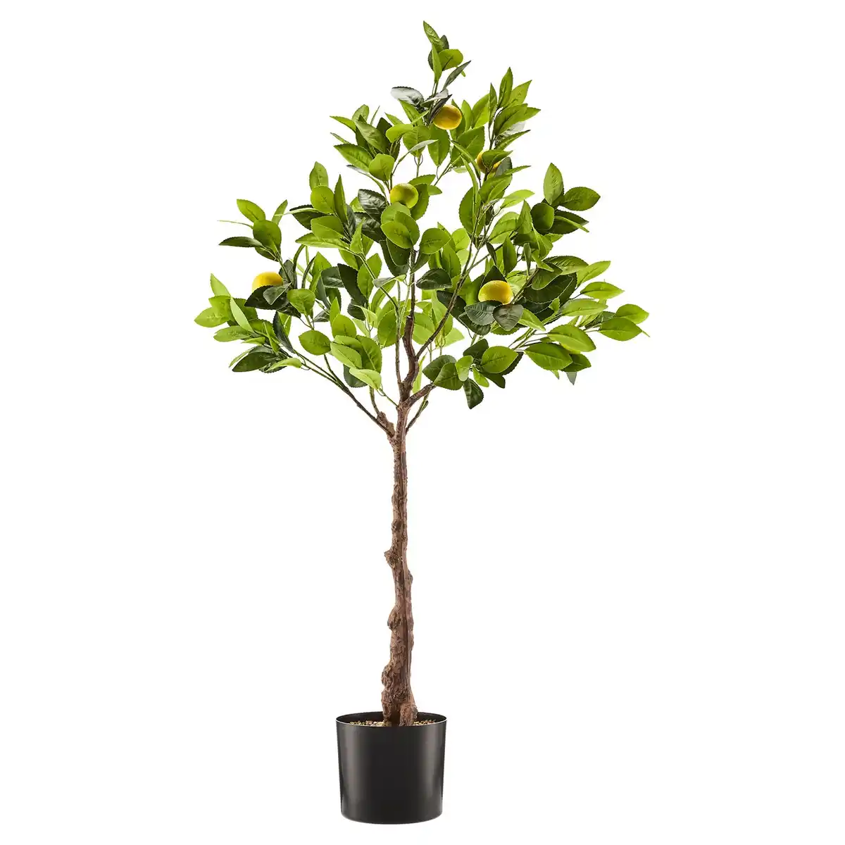 Bild 1 von HOME CREATION Künstliche Mediterrane Pflanze