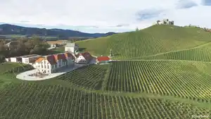 Österreich - Kärnten - St. Veit an der Glan - 4* Weingut Taggenbrunn