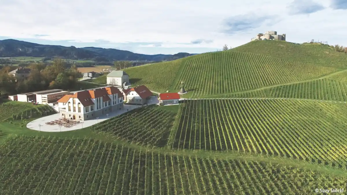 Bild 1 von Österreich - Kärnten - St. Veit an der Glan - 4* Weingut Taggenbrunn