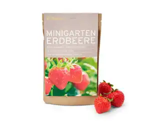 Minigarten in der Papiertüte, Erdbeere