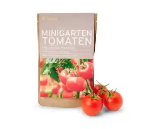 Minigarten in der Papiertüte, Tomate