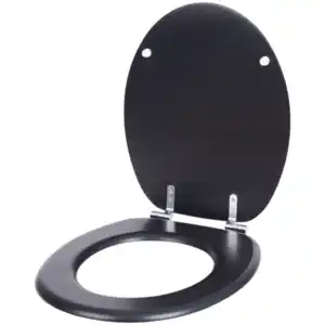 WC-Brille