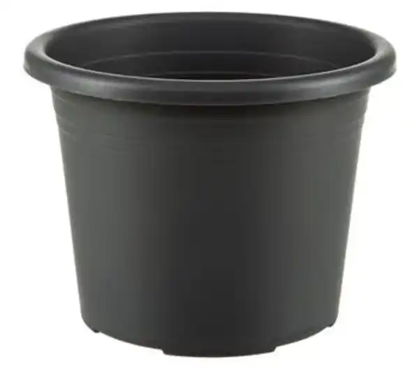 Bild 1 von Dehner Kunststoff-Blumentopf Cylindro, rund