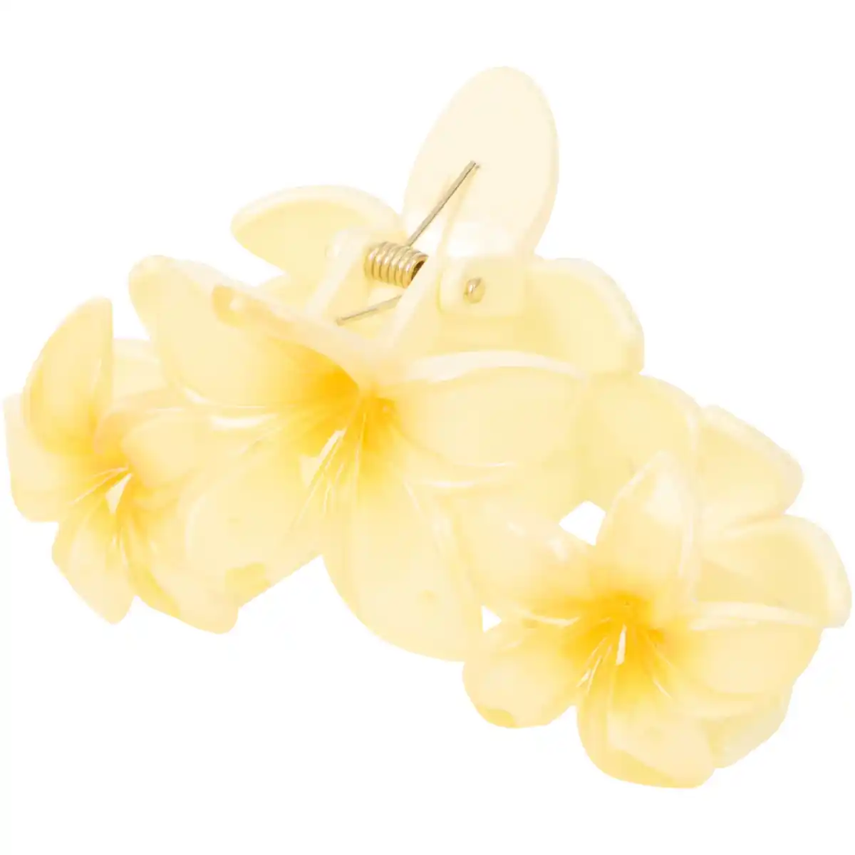 Bild 4 von Haarspange