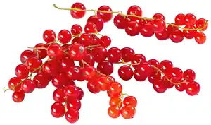 Dtsch. Johannisbeeren, 500-g-Packg.