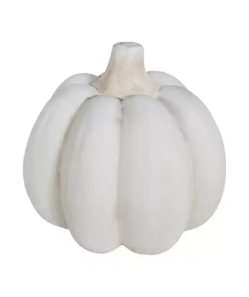 Bild 1 von Deko-Kürbis Herbst, weiß
