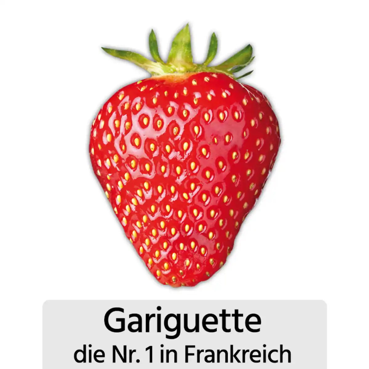 Bild 2 von Erdbeer-Aroma-Raritäten