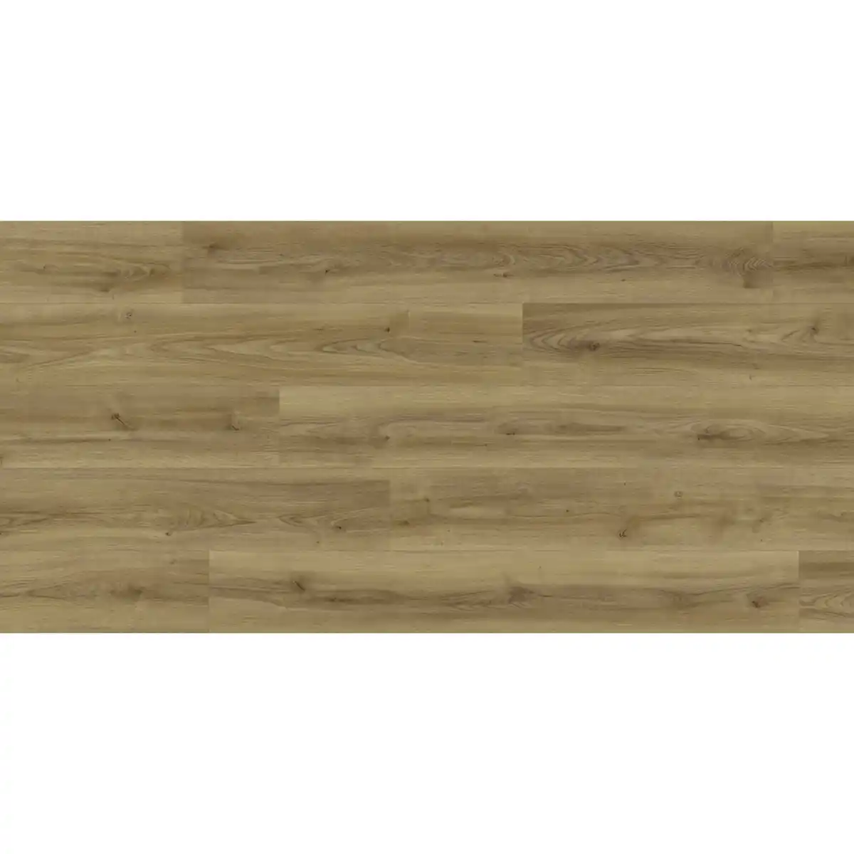 Bild 1 von RENOVO Laminat, Eiche, LxBxS: 1383 x 244 x 8 mm