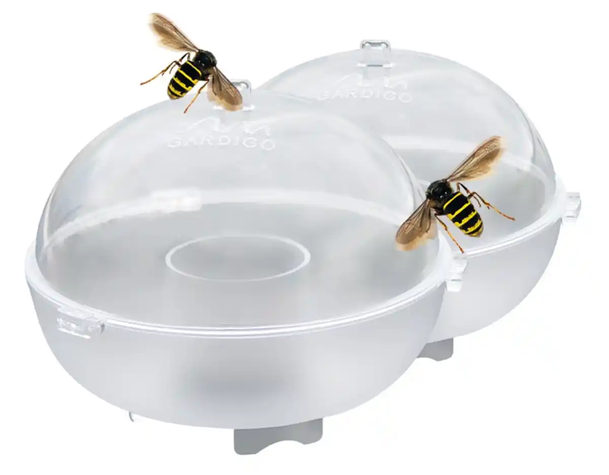 Bild 1 von Wespenfänger 2er Set