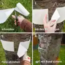 Bild 3 von Gardigo Baum-Leim-Ring 5m