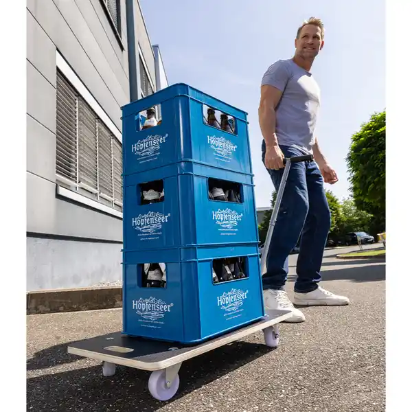 Bild 3 von Transporthilfe mit Griff