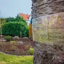 Bild 4 von Gardigo Baum-Leim-Ring 5m