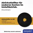 Bild 2 von Exquisit Kohlefilter für UBH 08-2.1