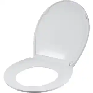 WELLWATER WC-Sitz »Sarum«, Duroplast, mit Absenkautomatik