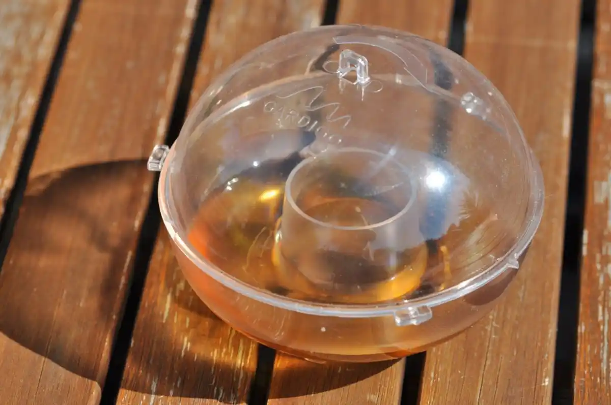 Bild 4 von Wespenfänger 2er Set