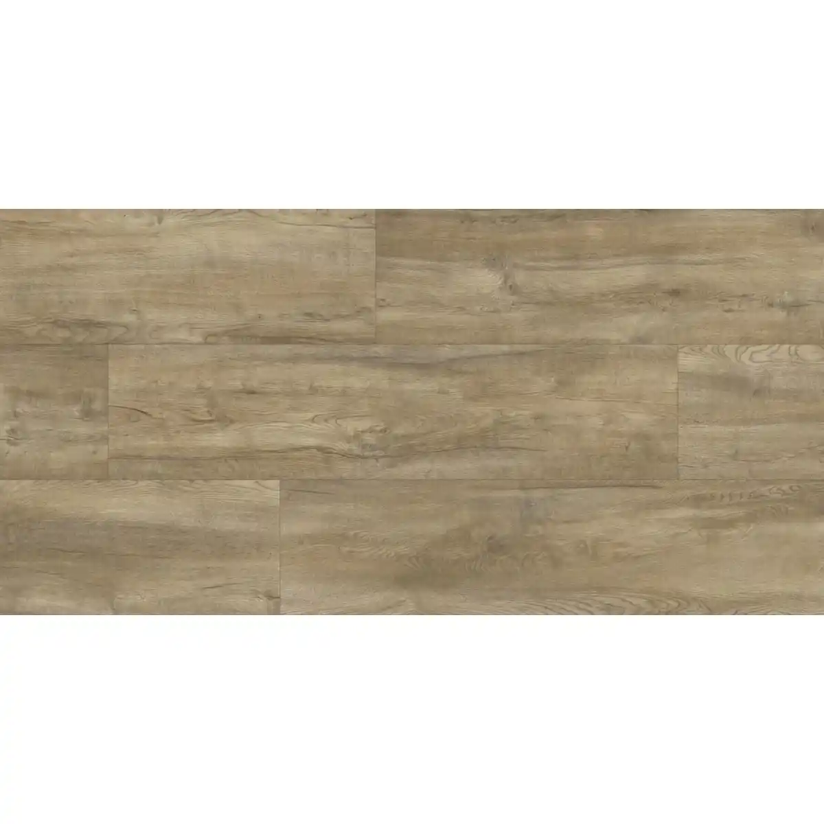 Bild 1 von RENOVO Laminat, Eiche, LxBxS: 1383 x 244 x 8 mm
