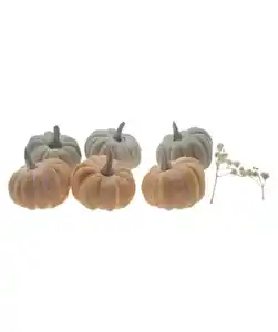 Deko-Kürbisse Herbst, bunt